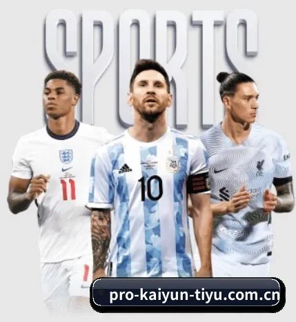 五大服务分区,信息按项目分类
