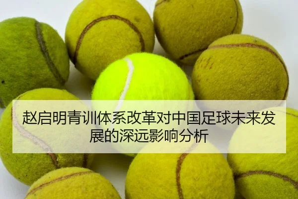 赵启明青训体系改革对中国足球未来发展的深远影响分析